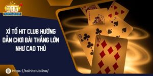 Xì Tố Hit Club: Hướng Dẫn Chơi Bài Thắng Lớn Như Cao Thủ